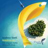 Maldives (Original Mix) - Andrew StetS