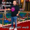 Fericirea vetii mele - Vali de la Ploiesti