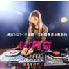 精选2021一半清醒一半醉国粤语车载串烧 - DJ阿奇