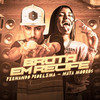 Brota em Recife(Brega Funk) (Explicit) - Fernando Problema&Mata Mouros