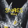 Snakes (Explicit) - Bobc@