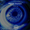 Vision (Mangata Remix) - Maxim Vozisov&Mangata