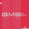 Origami - GMS&Pixel&Poli