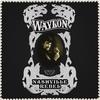 Slow Rollin' Low - Waylon Jennings