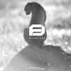 Wildlife - Fracture Design