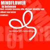 In Between (Cosmic Heaven Remix) - Mindflower
