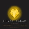 Shivashtakam(feat. Mehtab Ali Niazi, Gagan Baderiya, Narayan Sharma & Sachin Bagli) - Mute Darbaari&Mehtab Ali Niazi&Gagan Baderiya&Narayan Sharma&Sachin Bagli