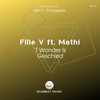 'T Wonder Is Geschied - Fille V&Mathì