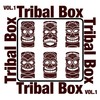 Mobile Phone (Tribal Extended Mix) - Dj Ninja