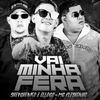 Vai Minha Fera - Shevchenko e Elloco&Mc Fleshinho