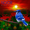 Blue Jay - Noor&Noorani Pirani