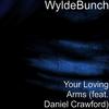 Your Loving Arms(feat. Daniel Crawford) - WyldeBunch&Daniel Crawford