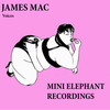 Voices (Original Mix) - James Mac