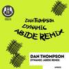 Dynamic (Abide Remix) - Dan Thompson
