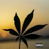 Ecstasy (feat. Riston Diggs) (Explicit) - Cali the Dreamer&DreCat&Sly Beats&Riston Diggs