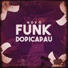 Novo Funk do Pica-Pau - DJ Cris Fontedofunk&MC RD