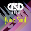 Your Soul - Nedd