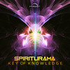 Connected (Original Mix) - Spiriturama