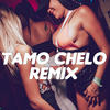 Tamo Chelo (Remix) - Dj Alex&Seba Bootleg&EL NOBA