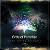 Birds Of Paradise (Original Mix) - Virgo