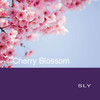 Cherry Blossom - SLY&Kevin Saunders&Jonathan Miller&mark daniels