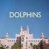 Cso With a Drag Queen (Explicit) - Dolphins