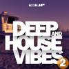 Satisfied (Deephouse Mix) - Miraux&Viviana Leone