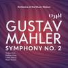 V. Im Tempo des Scherzo - Orchestra of the Music Makers&Caitlin Hulcup&Maior Chorus&Tzelaw Chan&Siobhan Stagg