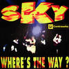 Where's the Way? (Original Version Mix) - DJ Sky