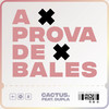 A Prova de Bales - Cactus&Dupla