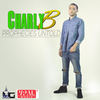 Prophecies Untold - Charly B