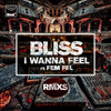 I Wanna Feel (René LaVice's Feel The Bass Crunch D&B Remix) - BLISS&Fem Fel