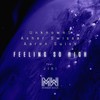 Feeling So High - Unknowns&Asher Swissa&Aaron Suiss&JIGI