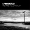 We Will Never Know (Extended Mix) - Spiritchaser