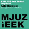 Ask (Lucius Lowe's Re-Klassification) - K-Klass&Bobbi Depasois