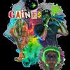Objects In The Mirror are More Real than They Appear (feat. Kagè Durden) (Explicit) - Gaine$&Kage Durden