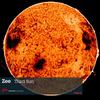 Third Sun (Original Mix) - Zee