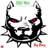 Big Dawg (Explicit) - SRG Moe