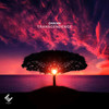Transcendence (Original Mix) - DNKNN