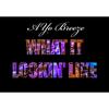 What It Lookin' Like[Dirty] (Explicit) - Ayo Breeze