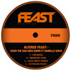 When The Sun Goes Down (Artmann Remix) - Altered Feast&Danielle Quinn&Artmann