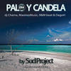 Palo y Candela (Remix Oficial EDM) - Maximo Music &Sud Project