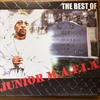 Teflon Don (Explicit) - Junior M.A.F.I.A.
