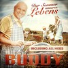 Der Sommer unseres Lebens (Franz Rapid Club Mix) - Buddy