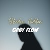 Shadow Hidden - Gaby Flow