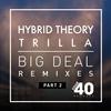 Big Deal (Bushbaby Remix) - hybrid theory&Trilla&Bushbaby