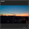 Alive - Simon