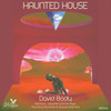 Salt Swing (Roswell Brothers Remix) - David Body&Roswell Brothers