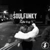Party On! (Original Mix) - Soulfunky