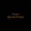 Ngizokuthanda (Explicit) - Thulani&Genius